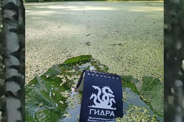 Клир ссылка на кракен 2025