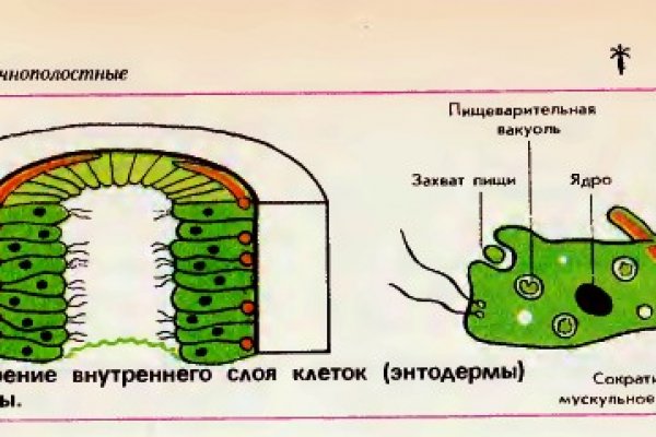 Что за маркетплейс кракен