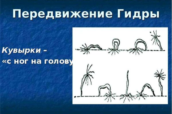 Kraken 19 at